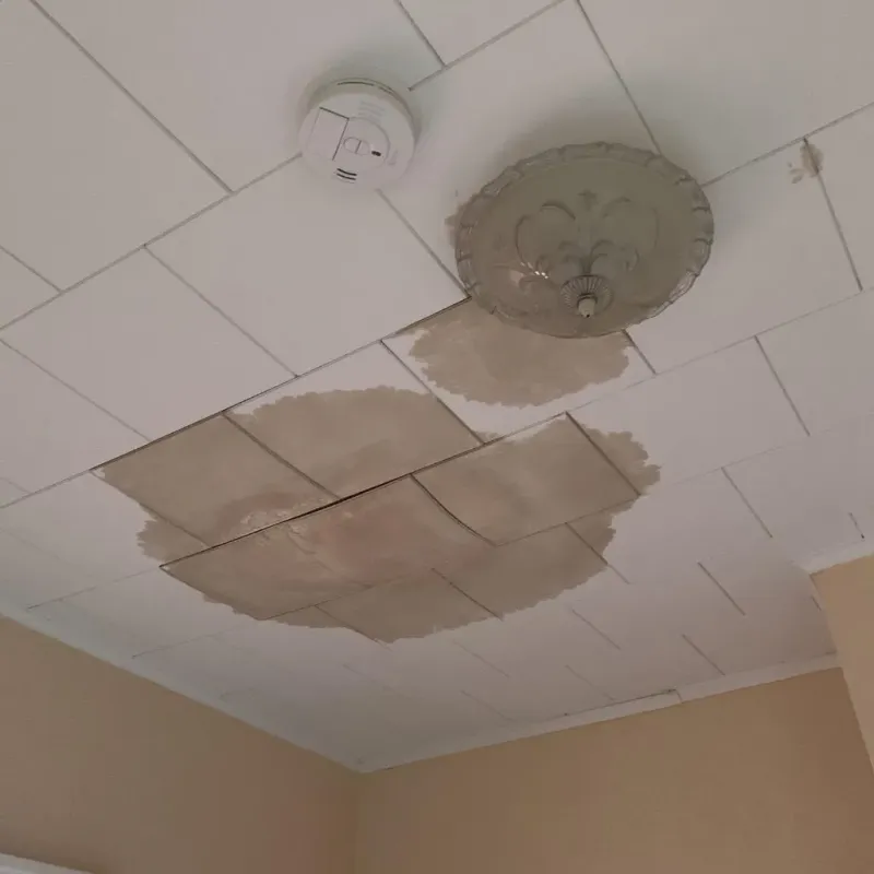 Ceiling Water Damage Repair in Monongahela, PA