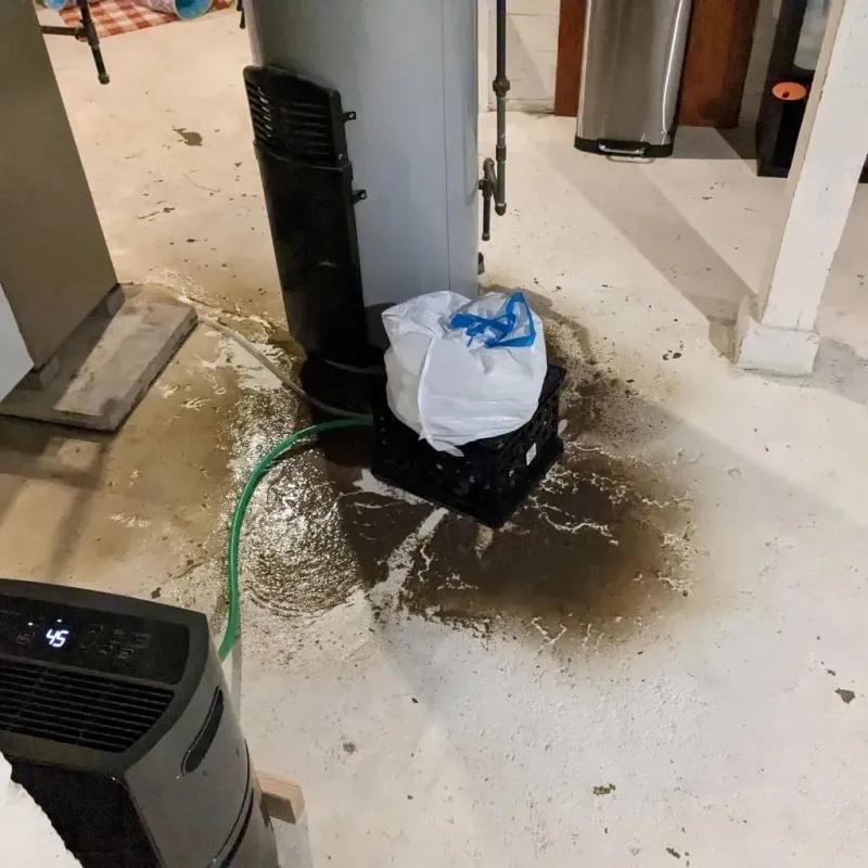 Sewage Backup Cleanup Service in Monongahela, PA